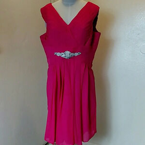 NWT Manfei Fusia Pink V-Neck Chiffon Dress